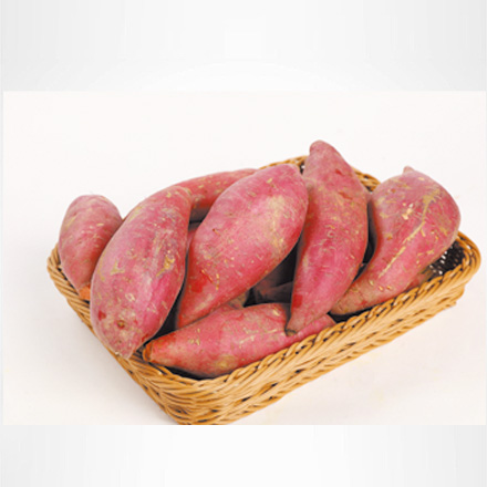 产品中心标题二