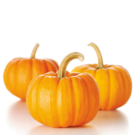 产品中心标题五