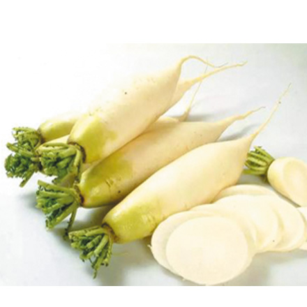 产品中心标题六