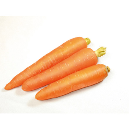 产品中心标题四