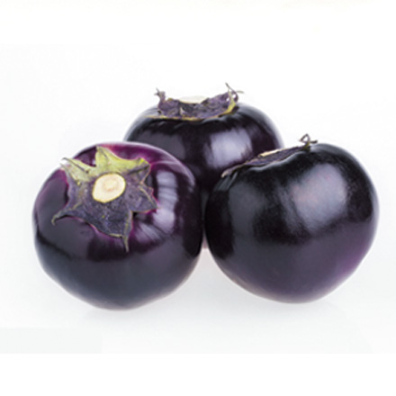 产品中心标题七